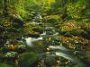 Roaring Fork, Timed Exposure, Great Smoky Mountains